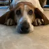 Devin Perpetua - @devinperpetua - TikTok