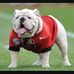 Devin Phillips - Facebook