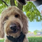 Devin pittman - @devin951416 - Instagram