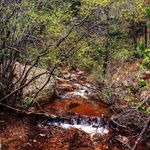 Devin Pittman - @devin_pittman00 - Instagram