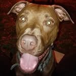 Devin Pugh - @dmpugh58 - Instagram
