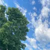 Devin Ramos - @devin.ramos22 - TikTok