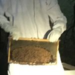 Devin Reynolds - @heartlandhoneyin - Instagram