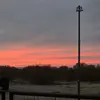 Devin Rhodes - @devinrhodes7 - TikTok