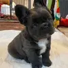 devinrhodes182 - @devinrhodes182 - TikTok