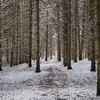 riversdevinchitom - @riversdevinchitom - TikTok