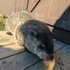 Devin Robinette - @devinrobinette0 - TikTok