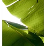 Devin - @devin.robson.6f - Instagram