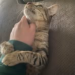 Devin M Rohner - Facebook