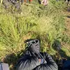 devinrollergerung - @vinnnbae24 - TikTok