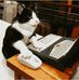 Devin Roth - Facebook