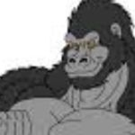 Devin_Roth - @devon_the_gorilla - Instagram