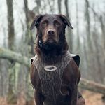 Devin Roth - @devin_roth - Instagram