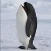 Devin Roth - @occidious - TikTok