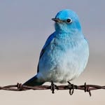 Ruby Devine - @rubydevin - Instagram