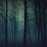 Devin Rudd - @devin.rudd.73 - Instagram