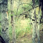 Devin Rudd - @wh3re_is_b33r - Instagram