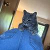 devin.ruff - @devin.ruff - TikTok