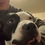 Devin Ruhl - @ruhl.devin - Instagram
