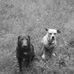 Devin Rutledge - Facebook