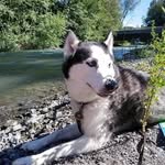 Devin Michael Salisbury - @gojira.ranger - Instagram