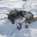 Devin Salisbury - Facebook