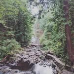 Dev - @devinsamuelwallace - Instagram