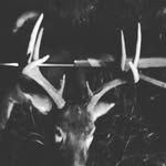 Devin Samuel Laurence - @the.southern.way - Instagram