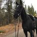 Devon Savoie - Facebook
