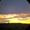 devinschafer488 - @devinschafer488 - TikTok