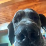 devin s - @devin_schell12 - Instagram