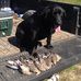 Devin Schell - Facebook