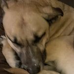 Devin Scheller - @scheller.devin - Instagram