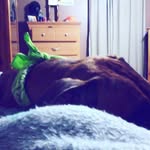 Devin Schmitz - @devin_schmitz18 - Instagram