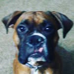 Devin schmitz - @schmitz_devin18 - Instagram