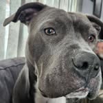 Devin Schofield - @devin_schofieldofkush - Instagram