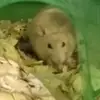 Devin Seaman - @devin.seaman - TikTok