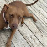 Devin Sellers - @devinsellers22 - Instagram