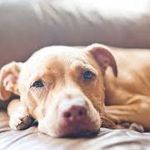 Devin Sheehan - @devinsheehan2673 - Instagram