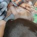 Devin Short - Facebook