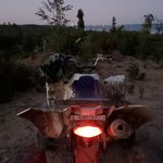 Devin simpson - @pimpdaddy69696969 - Instagram