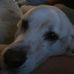 Devon Slayton - Facebook