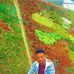 Devo Smart - Facebook