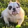 Devin_snell - @yoboydevin29 - TikTok