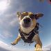 Devon Stilwell - Facebook