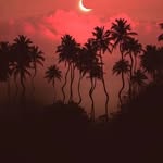 Devin - @devin_stockwel - Instagram