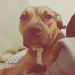 Devin Stock - @stockdevinlee - Instagram