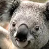 devinstreeter519 - @devinstreeter519 - TikTok