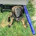 Devin Strickland - Facebook