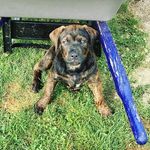 Devin Strickland - @devinstrickland_95 - Instagram